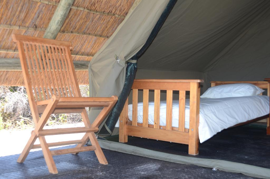 West Coast Luxury Tents Dwarskersbos Zewnętrze zdjęcie