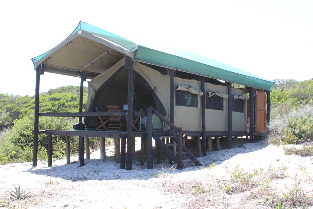 West Coast Luxury Tents Dwarskersbos Zewnętrze zdjęcie