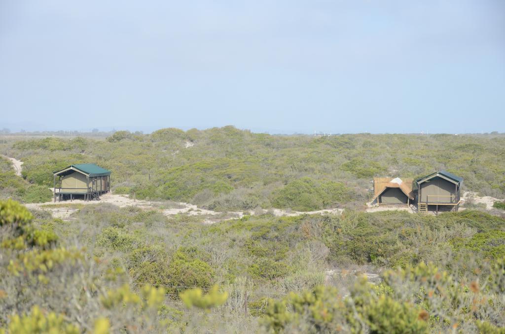West Coast Luxury Tents Dwarskersbos Zewnętrze zdjęcie