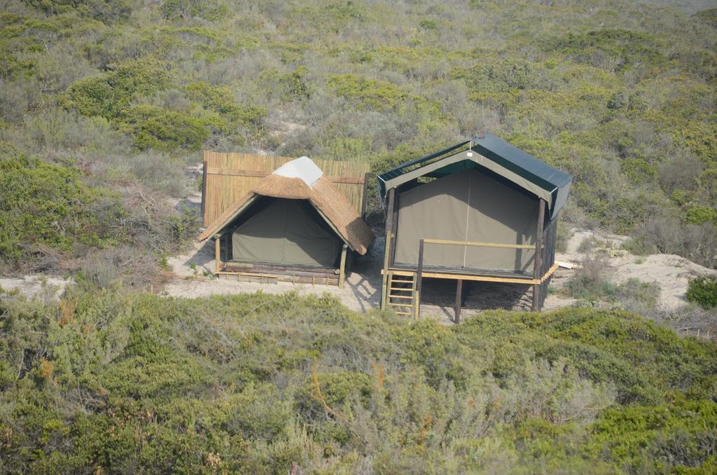 West Coast Luxury Tents Dwarskersbos Zewnętrze zdjęcie