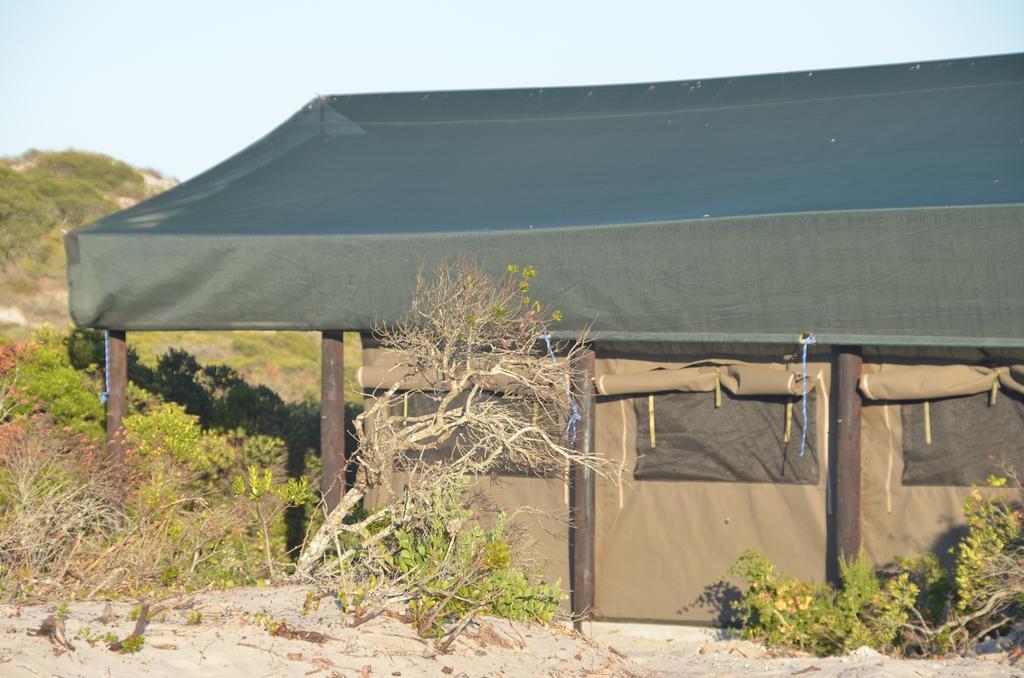 West Coast Luxury Tents Dwarskersbos Zewnętrze zdjęcie