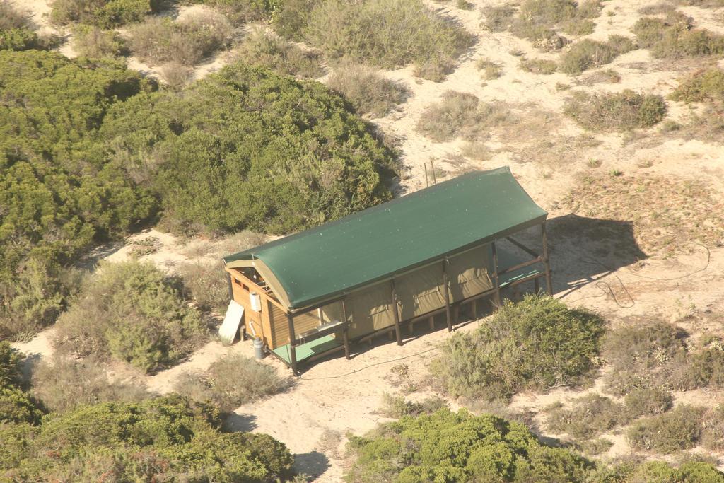 West Coast Luxury Tents Dwarskersbos Zewnętrze zdjęcie